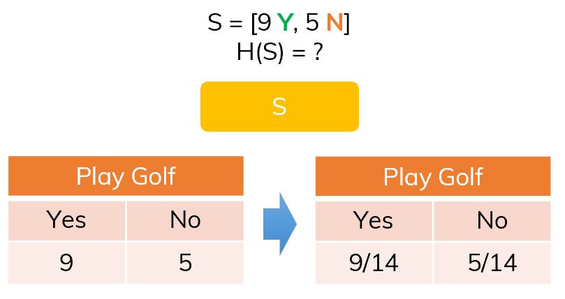 The frequency of classes in S