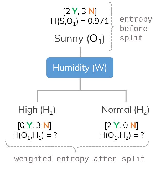 Consider branch O1 and attribute W