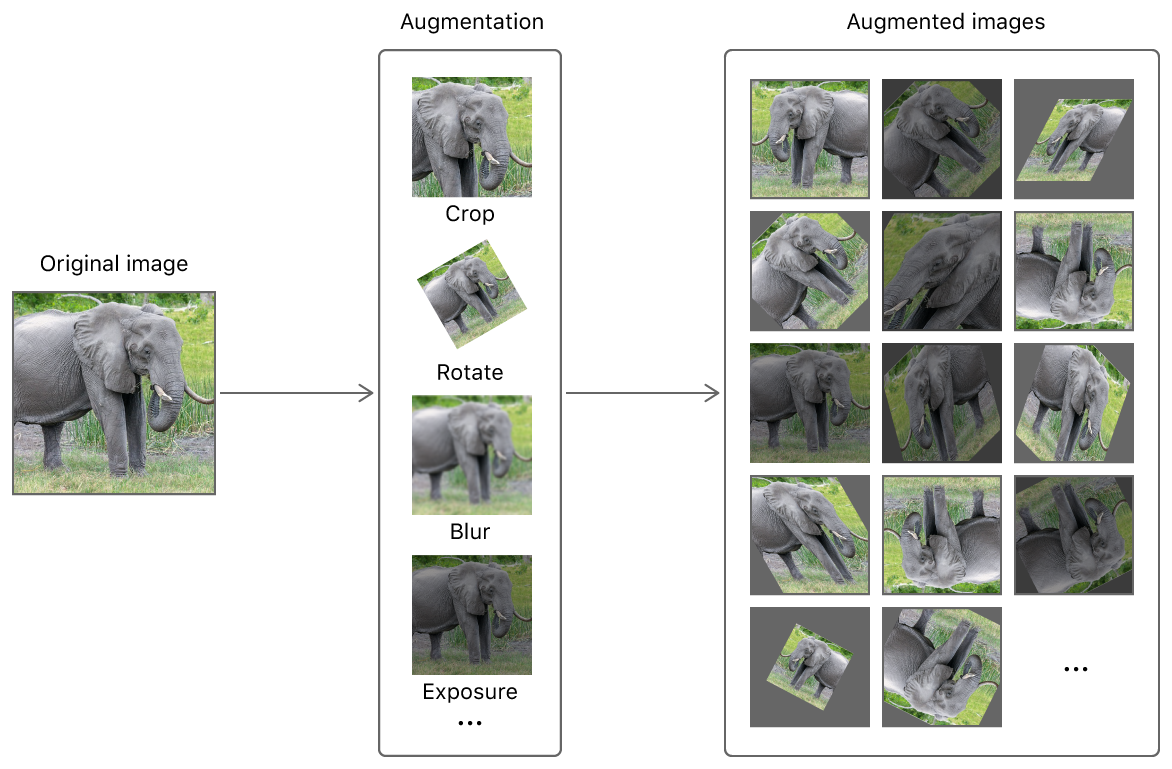 Image augmentation illustration